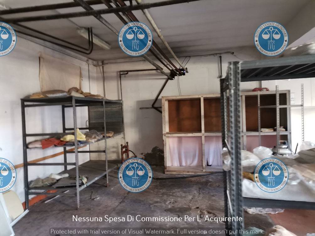 immagine annuncio 12 di 14