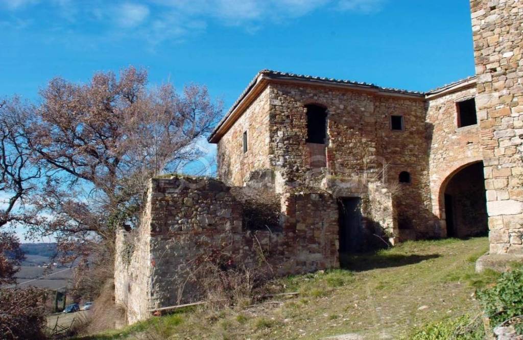 immagine annuncio 4 di 12