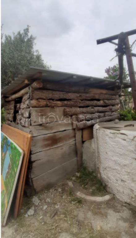 immagine annuncio 2 di 10