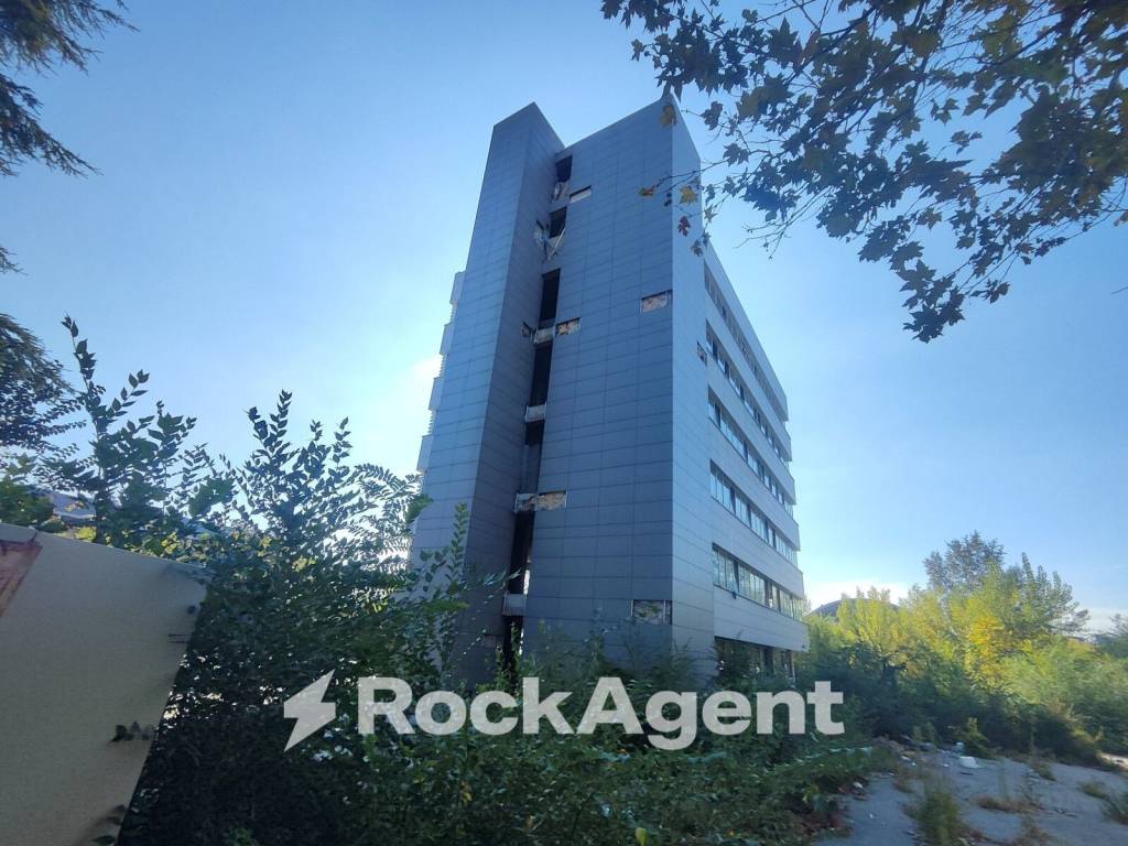 immagine annuncio 2 di 12