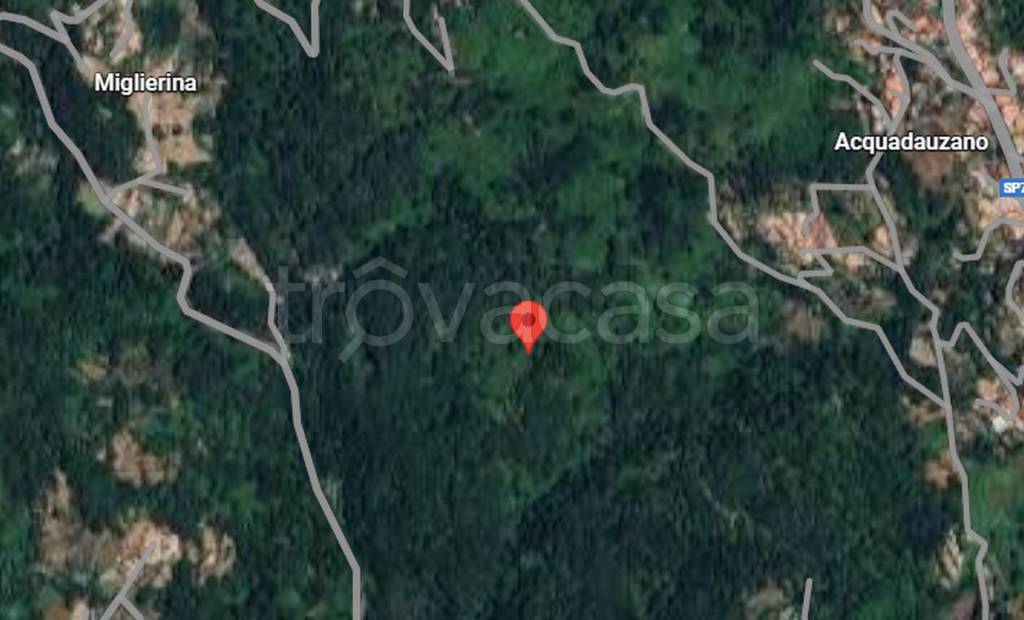 immagine annuncio 7 di 11