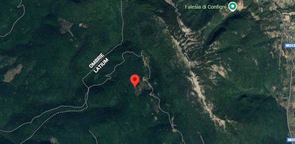 immagine annuncio 3 di 11