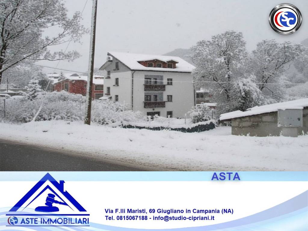 immagine annuncio 1 di 14