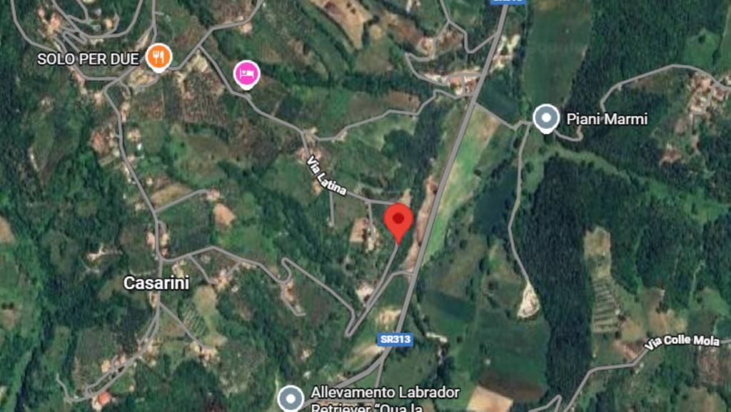 immagine annuncio 4 di 11