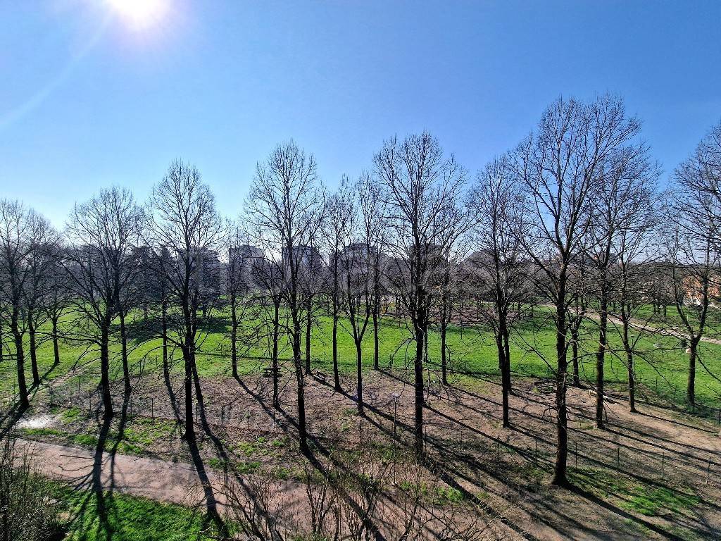 immagine annuncio 6 di 11