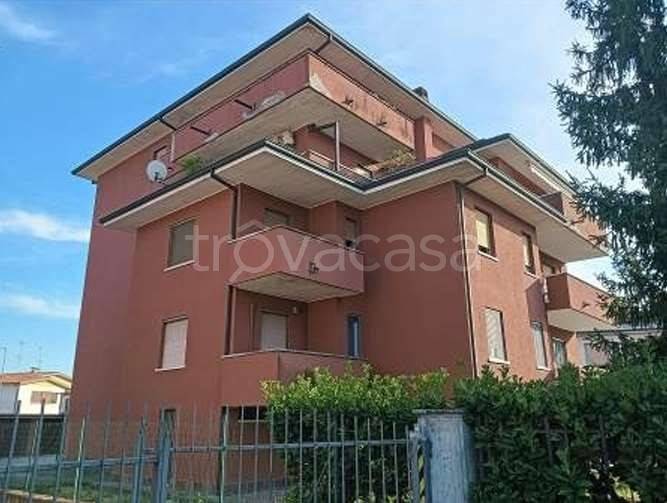 immagine annuncio 1 di 12