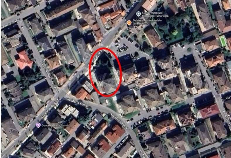 immagine annuncio 2 di 12