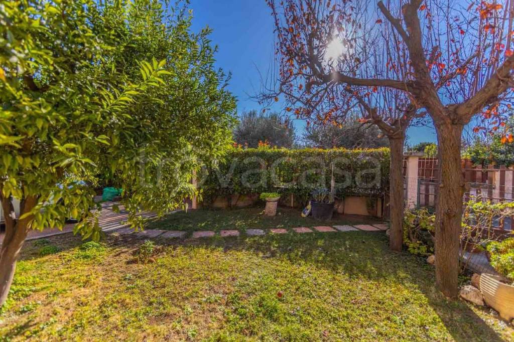 immagine annuncio 11 di 15