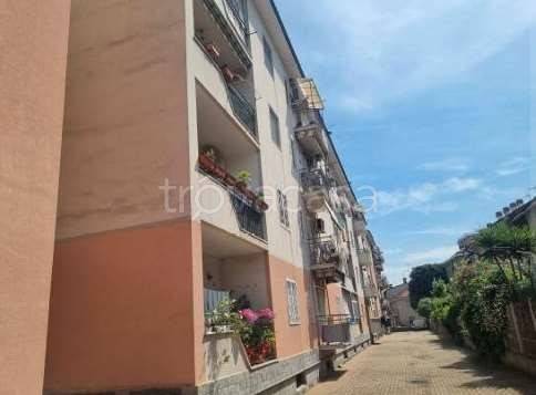 immagine annuncio 2 di 14