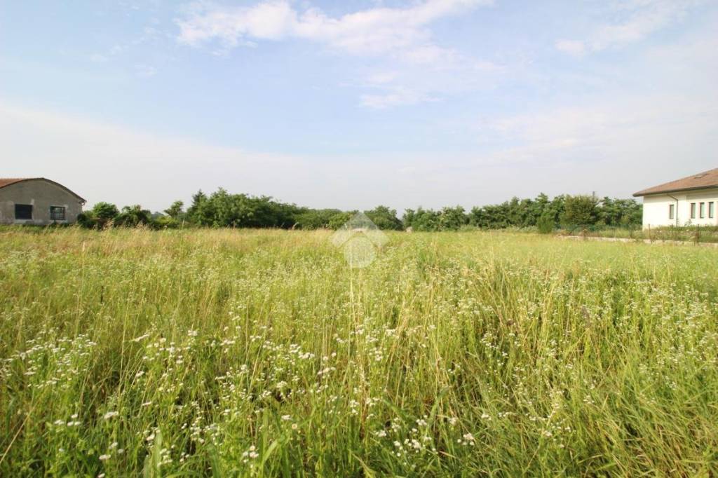 immagine annuncio 11 di 12