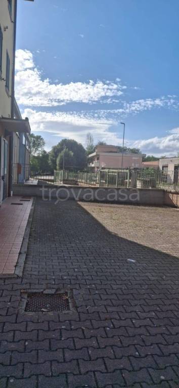 immagine annuncio 9 di 11