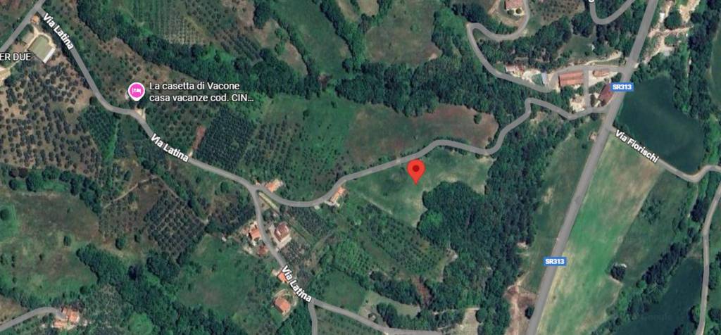 immagine annuncio 2 di 11