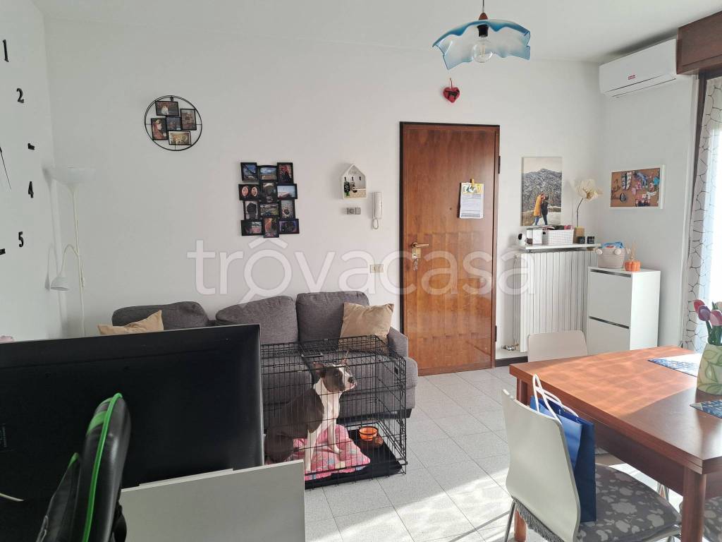 immagine annuncio 3 di 6