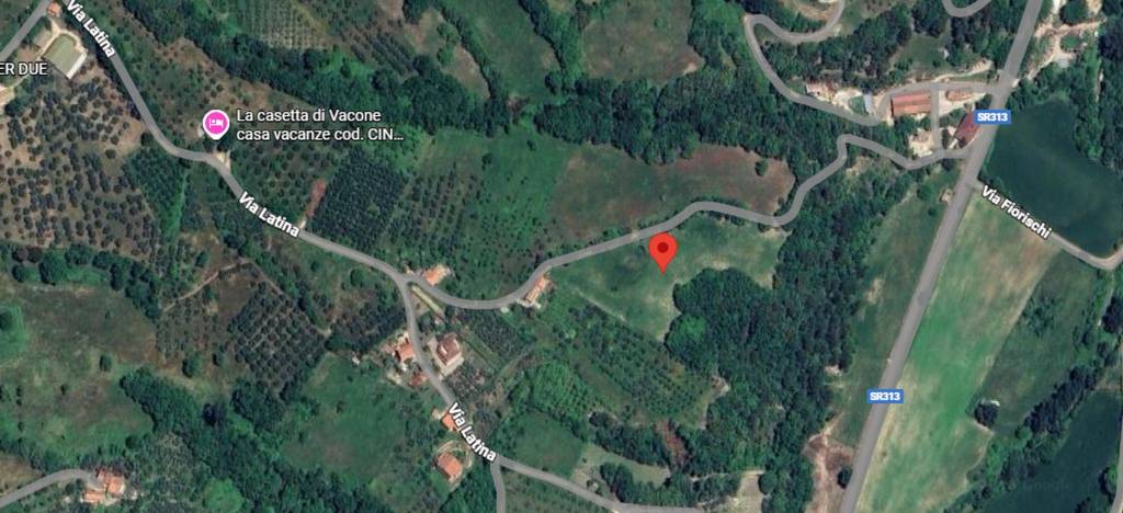 immagine annuncio 3 di 11