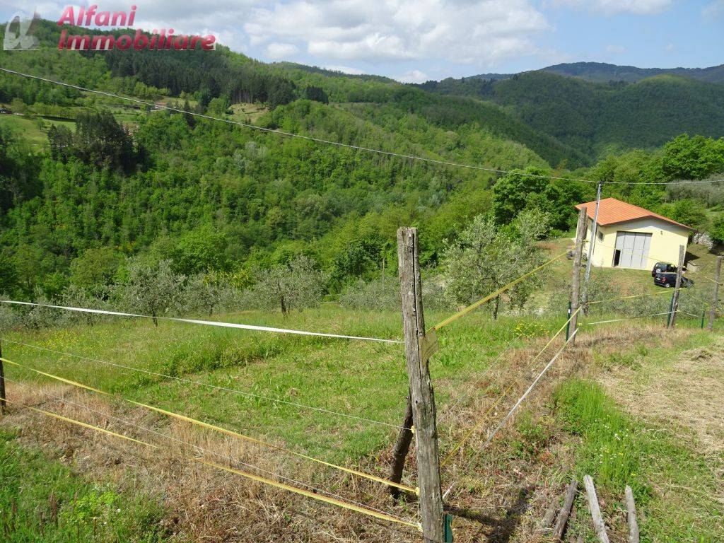 immagine annuncio 1 di 7