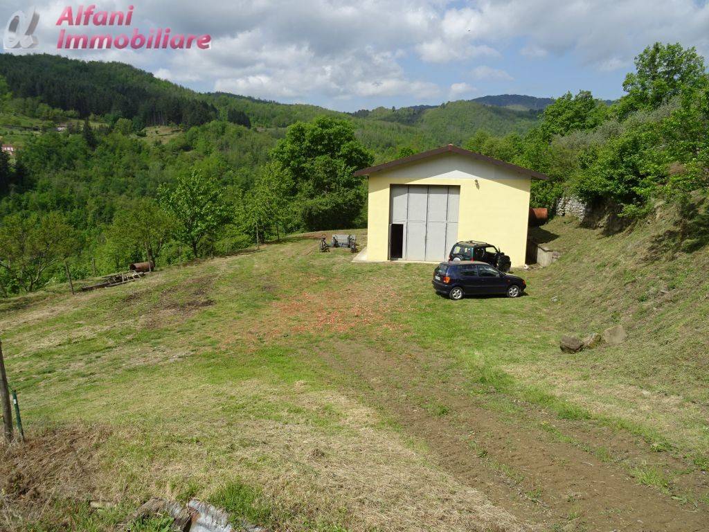 immagine annuncio 2 di 7