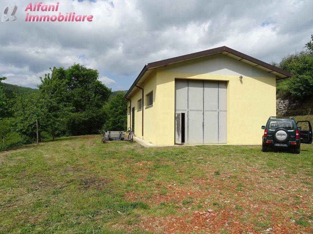 immagine annuncio 3 di 7