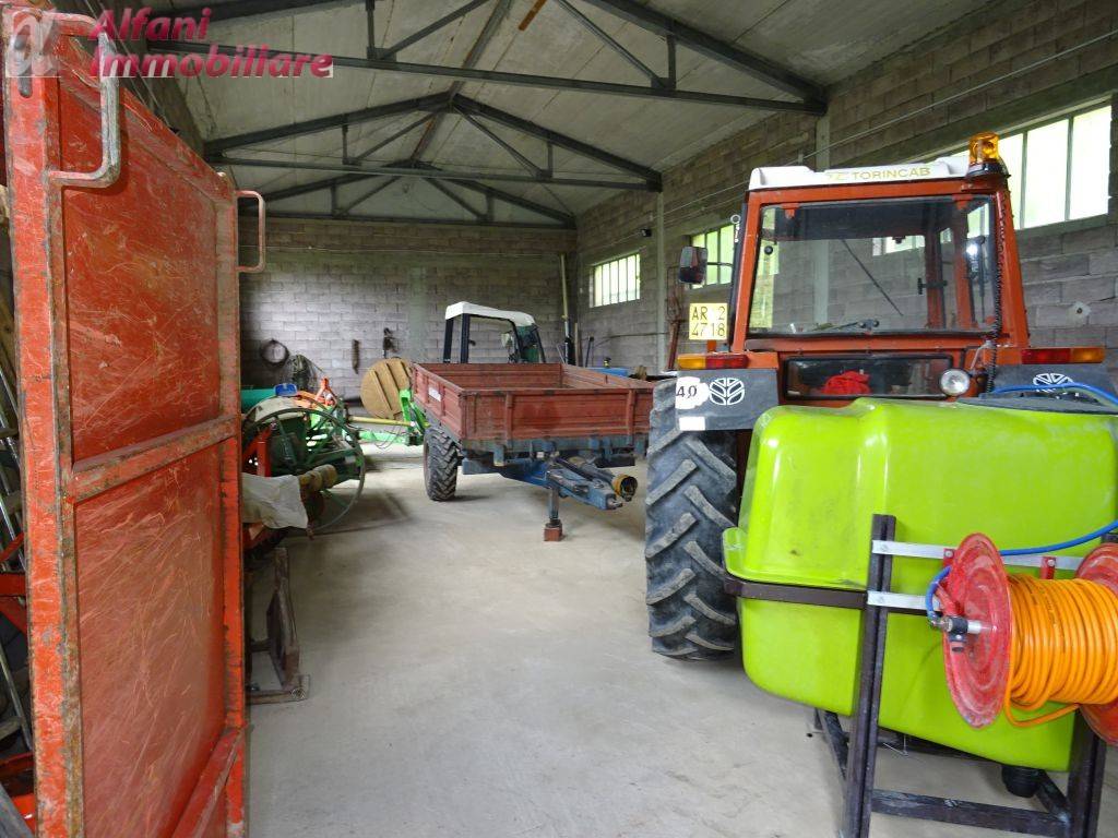 immagine annuncio 4 di 7