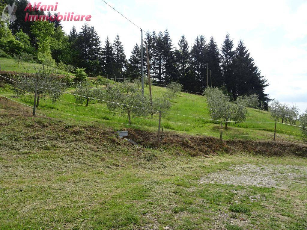 immagine annuncio 5 di 7