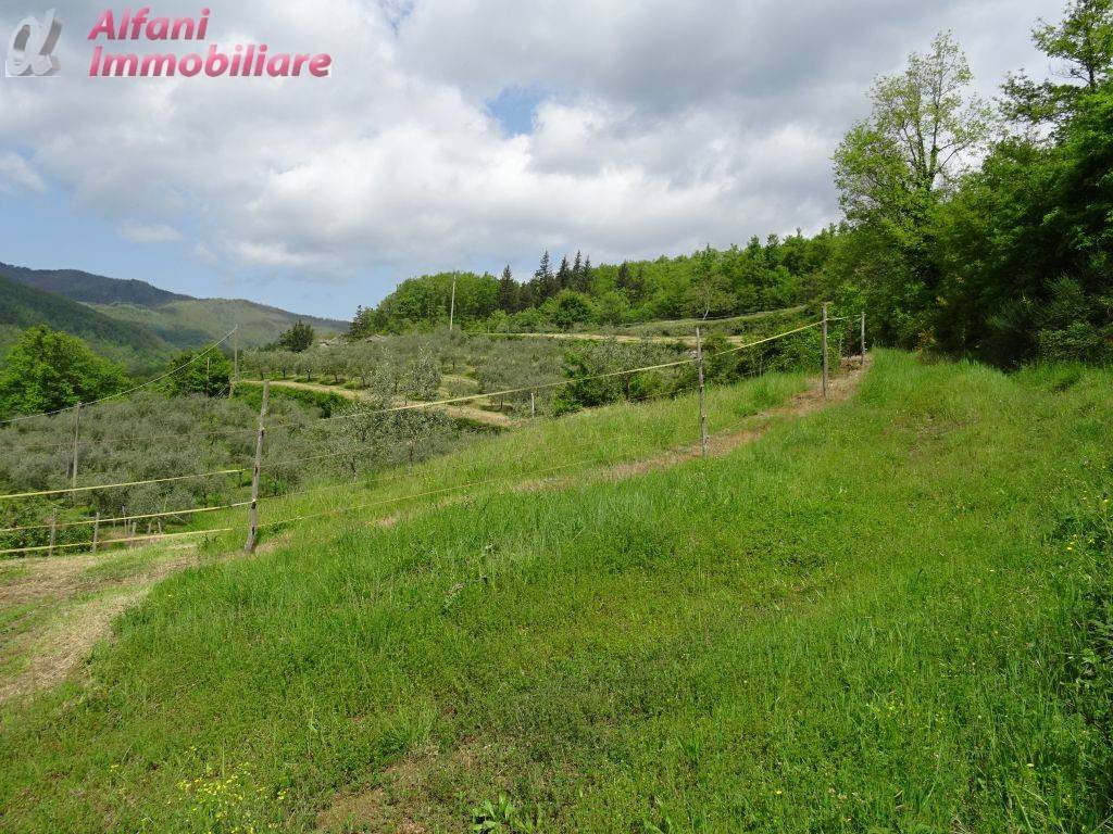 immagine annuncio 6 di 7