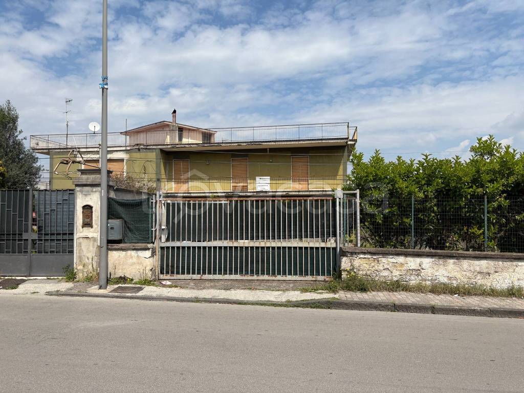 immagine annuncio 3 di 4