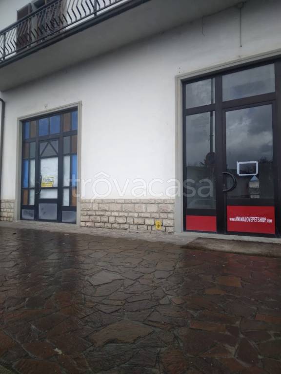 immagine annuncio 1 di 2