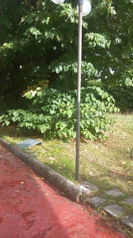 immagine annuncio 6 di 11