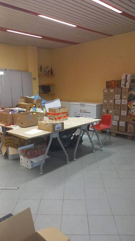 immagine annuncio 10 di 11