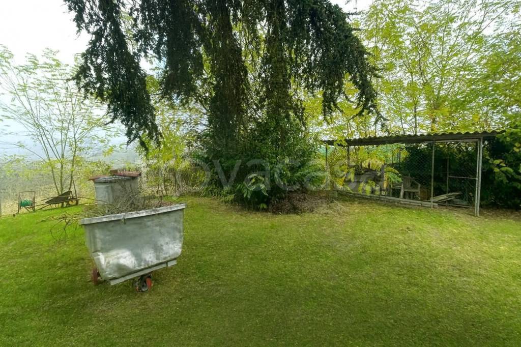 immagine annuncio 3 di 11