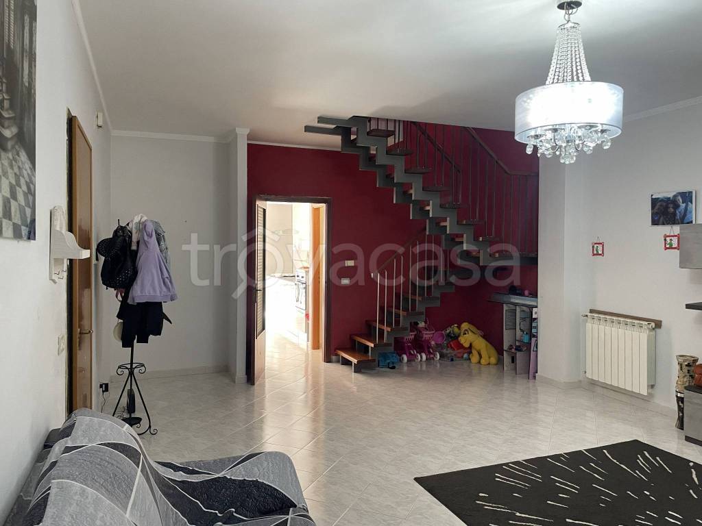 immagine annuncio 1 di 14