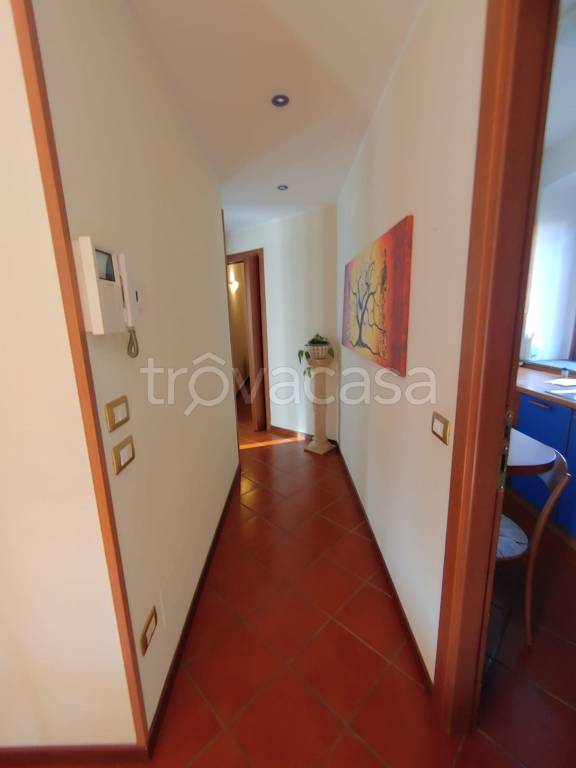 immagine annuncio 7 di 11