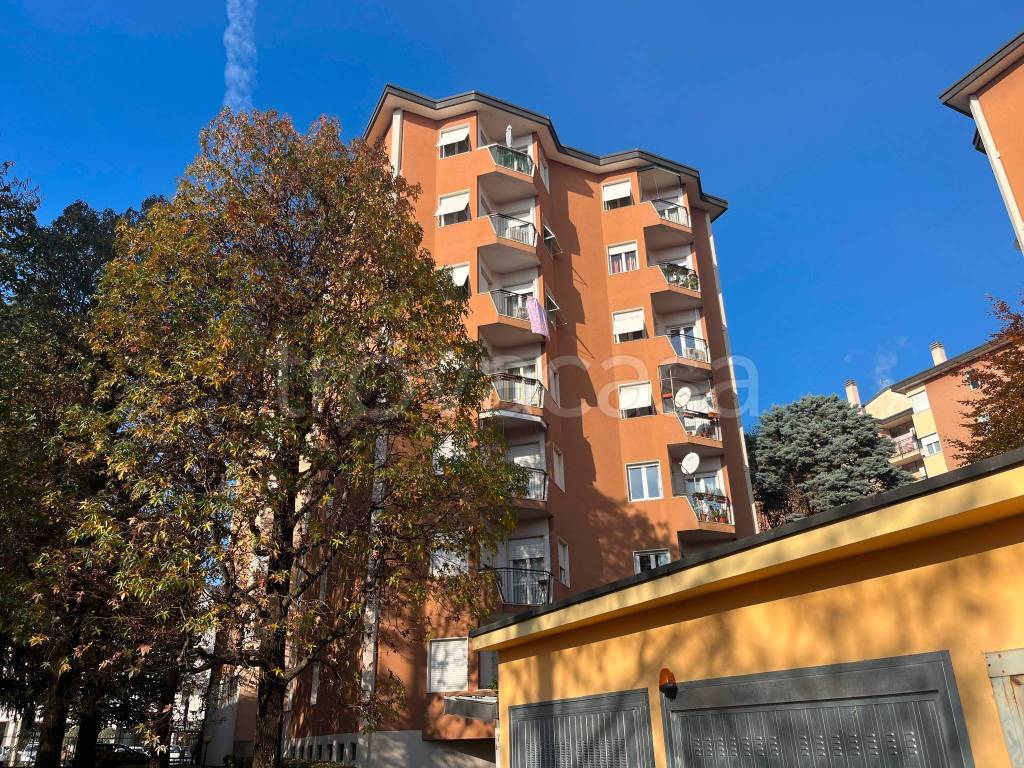 immagine annuncio 2 di 12