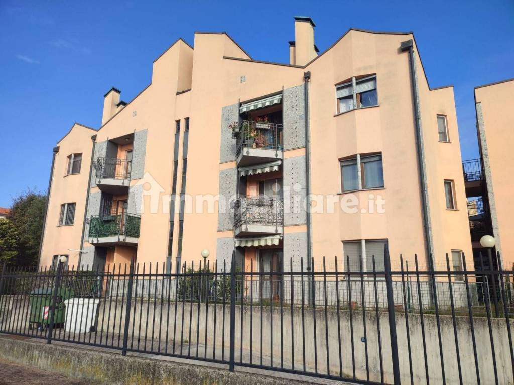 immagine annuncio 1 di 15