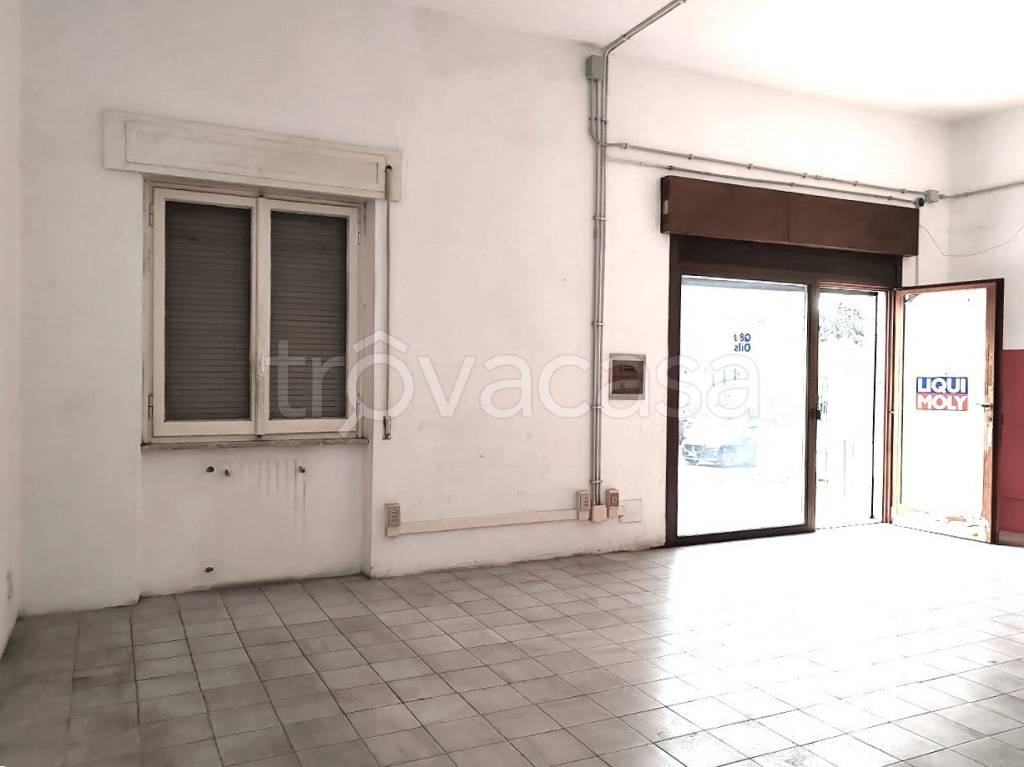 immagine annuncio 5 di 12