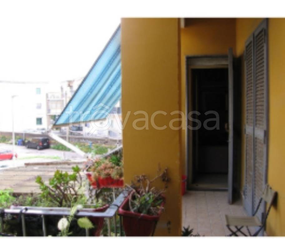 immagine annuncio 9 di 12