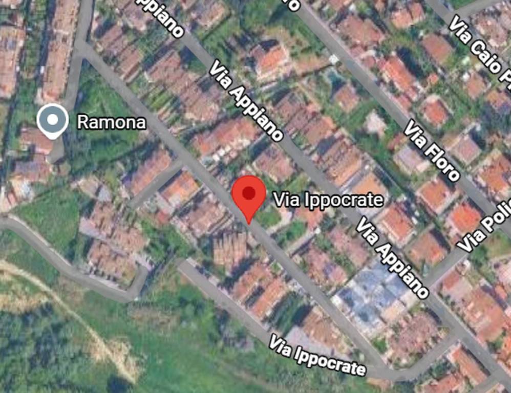 immagine annuncio 6 di 11