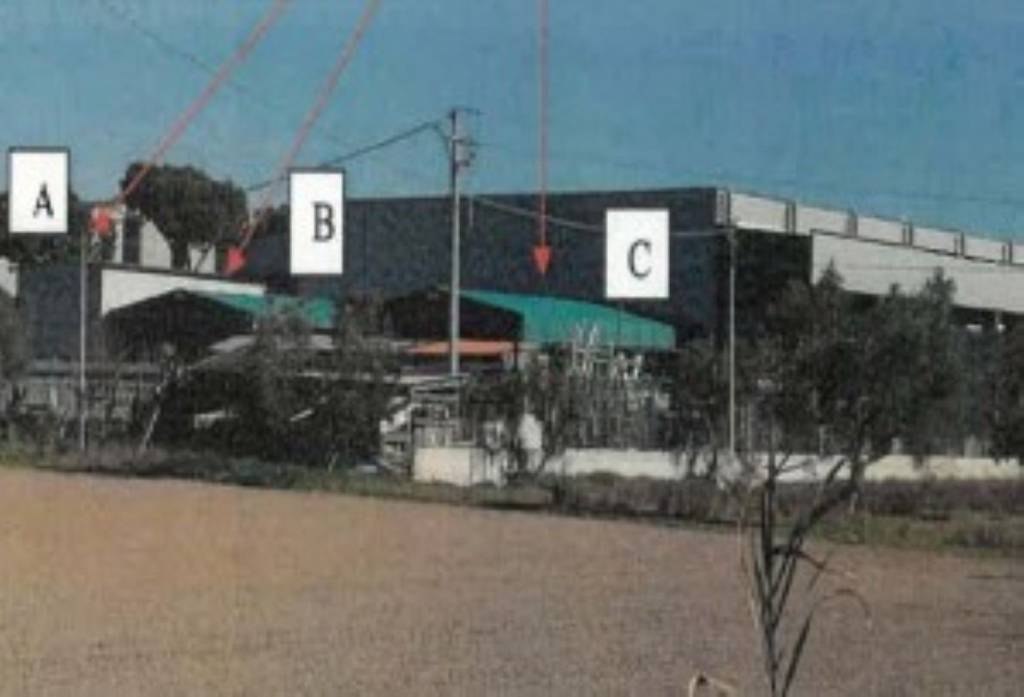 immagine annuncio 3 di 11