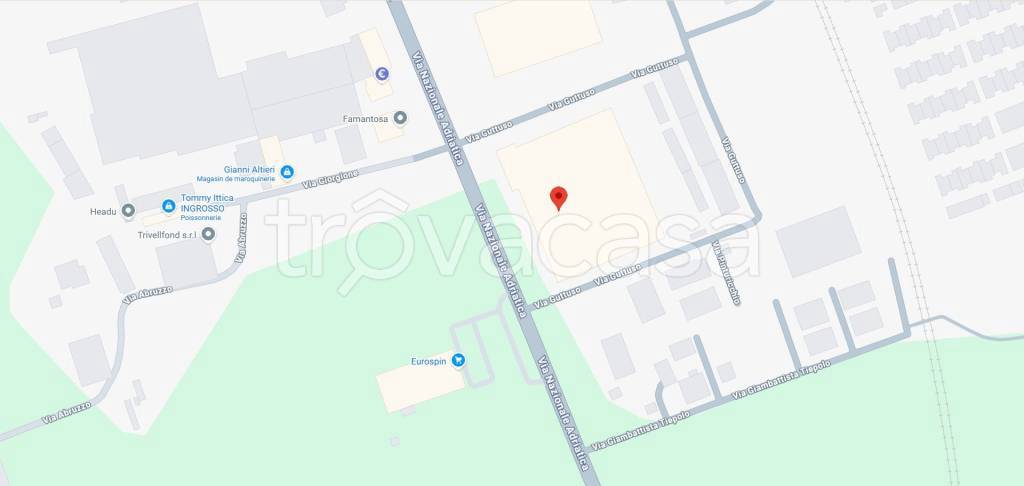 immagine annuncio 10 di 11