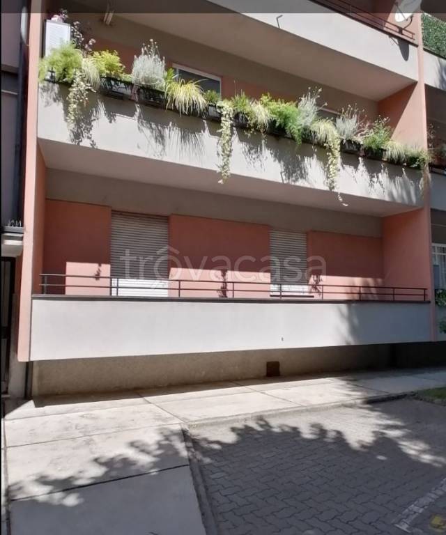 immagine annuncio 12 di 13