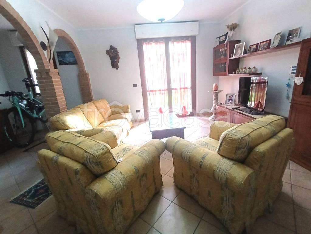 immagine annuncio 1 di 14