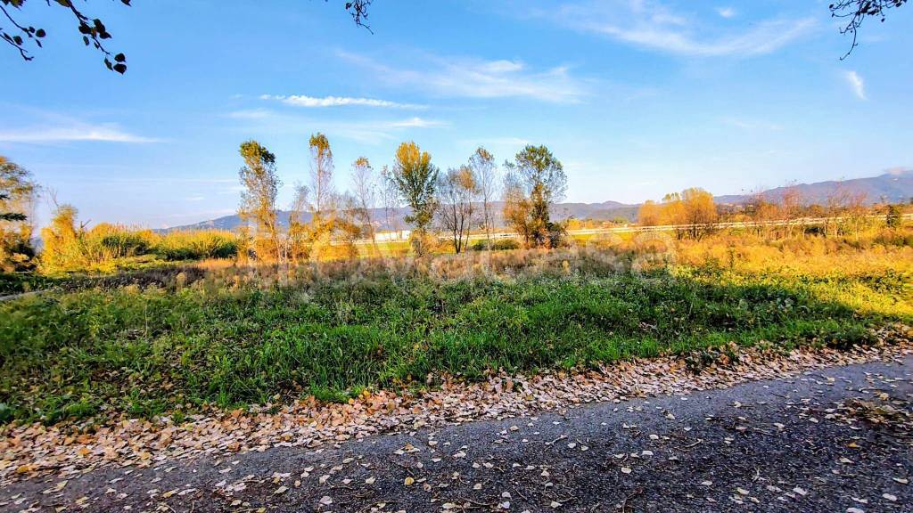 immagine annuncio 3 di 13