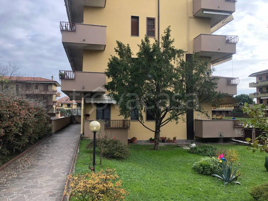 immagine annuncio 12 di 15