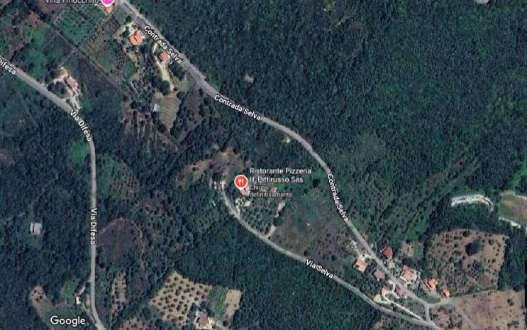 immagine annuncio 2 di 8