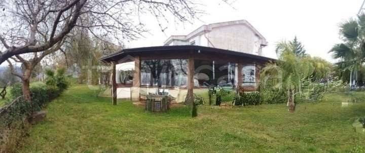 immagine annuncio 7 di 8