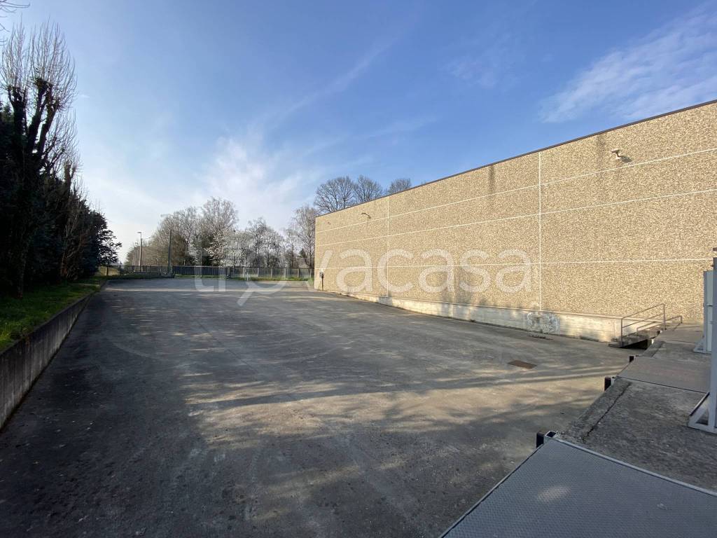 immagine annuncio 6 di 15