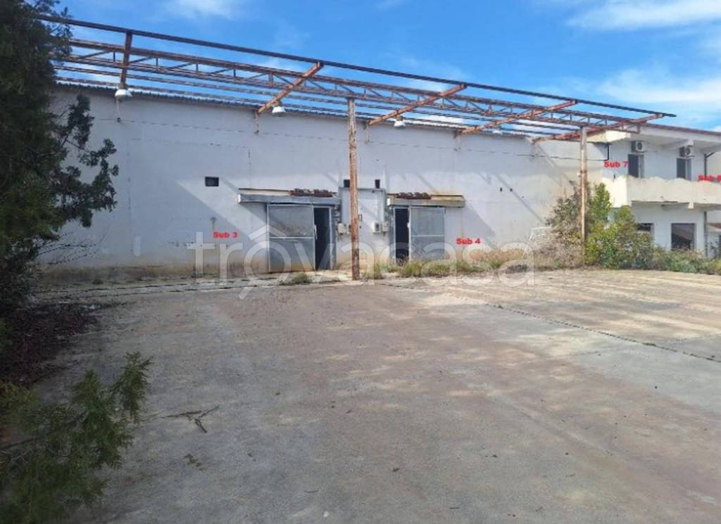 immagine annuncio 7 di 10