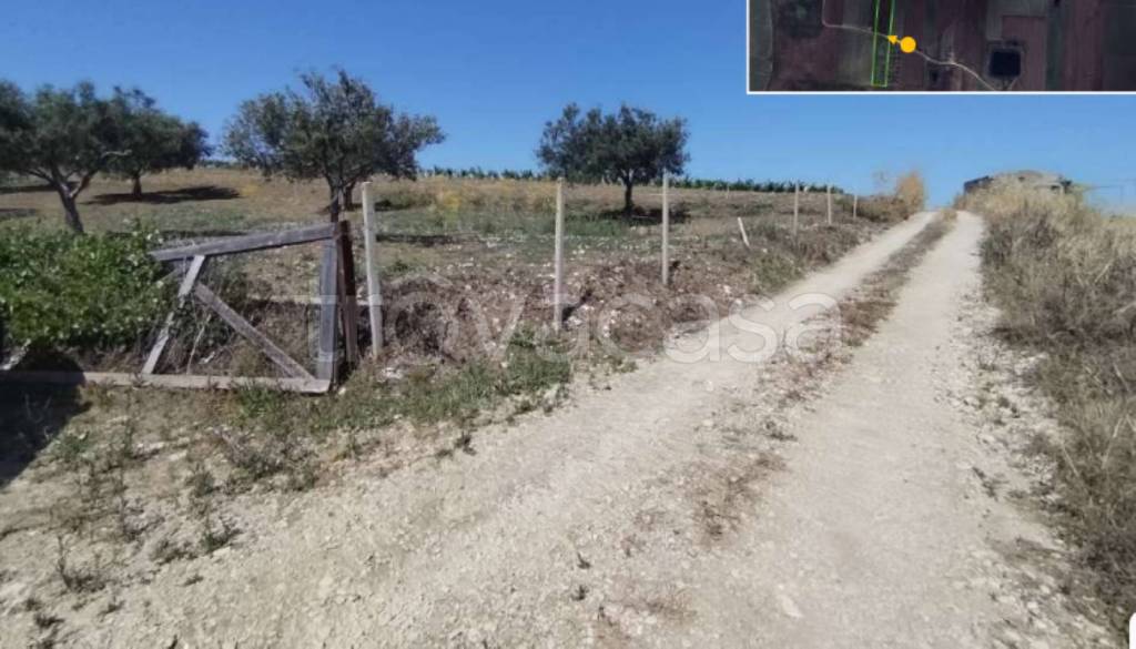 immagine annuncio 1 di 13