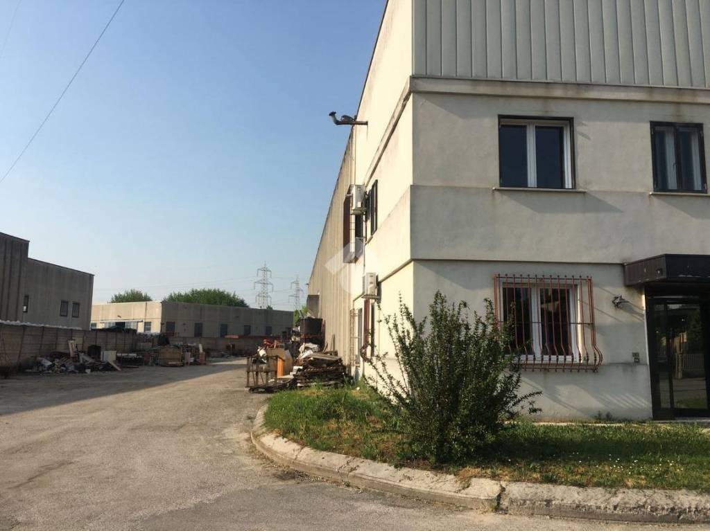 immagine annuncio 4 di 7