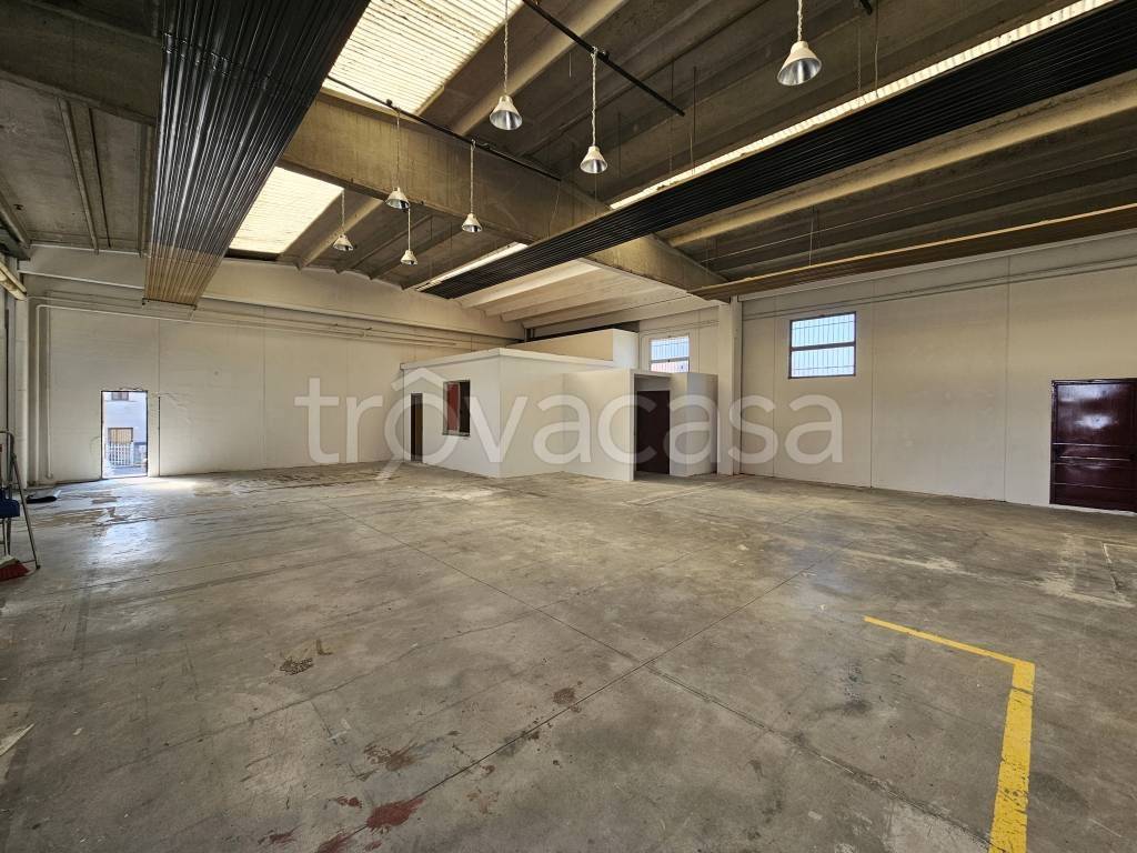 immagine annuncio 2 di 12