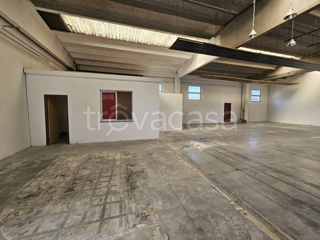 immagine annuncio 3 di 12